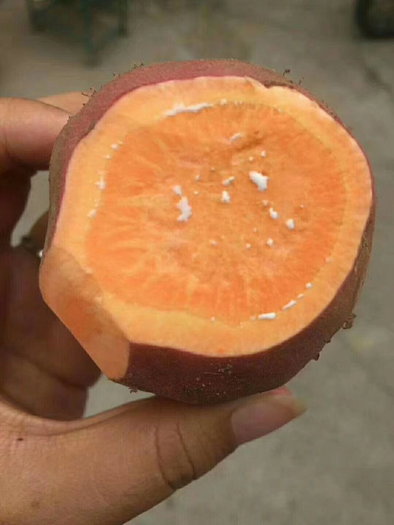 红薯