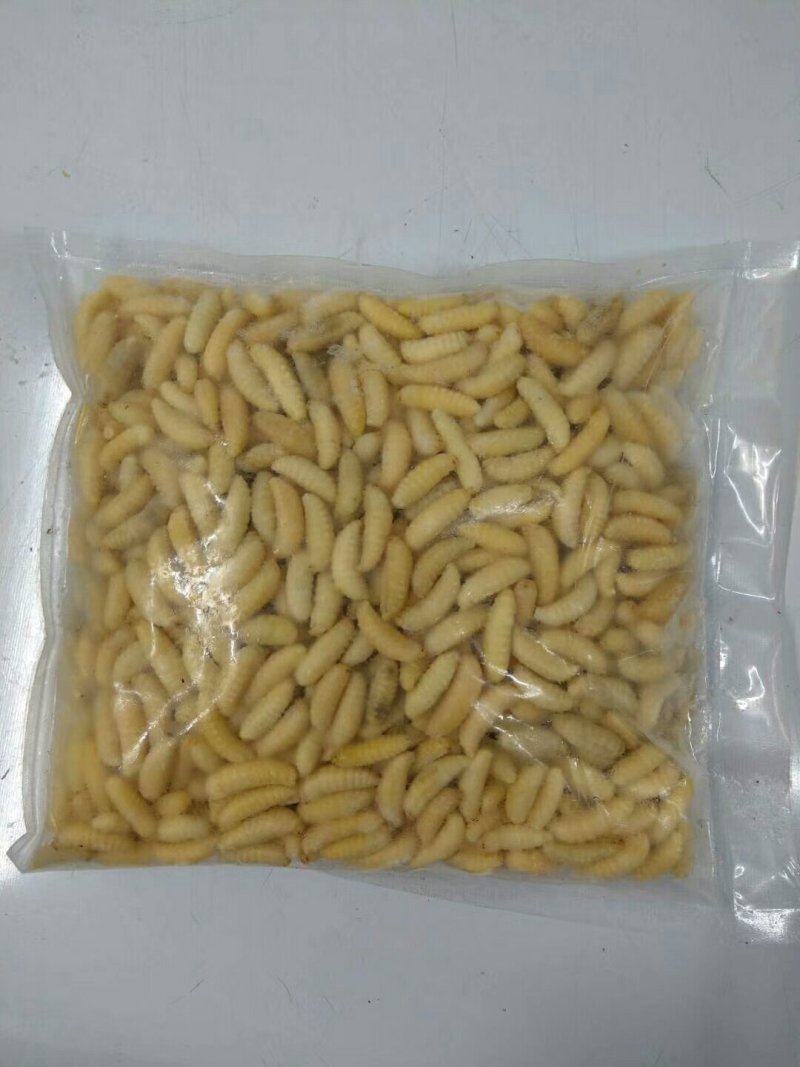野生蜂蛹，野生蜂蜜，每天数量有限，先下手为强