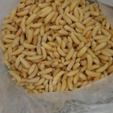 野生蜂蛹，野生蜂蜜，每天数量有限，先下手为强