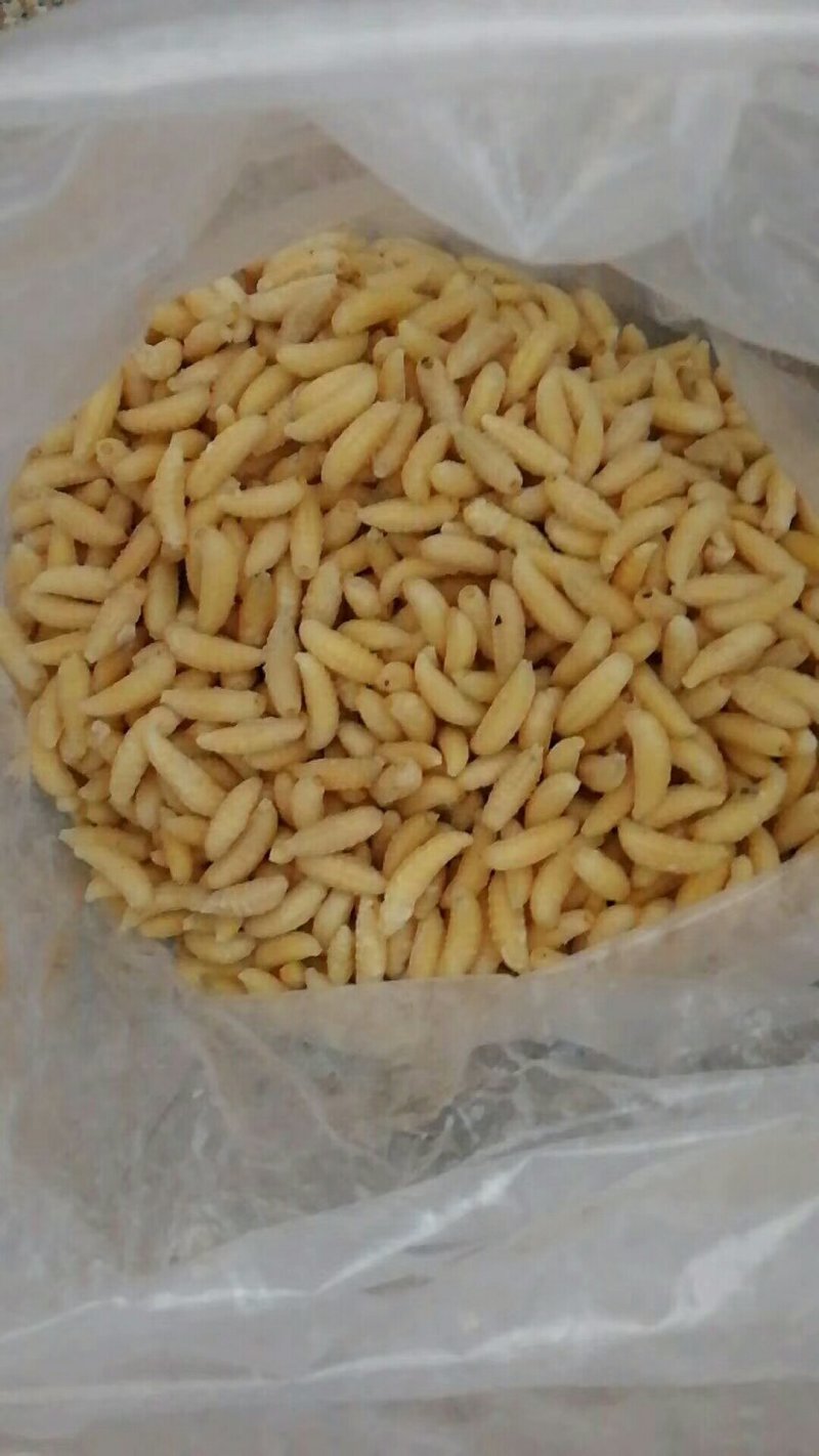 野生蜂蛹，野生蜂蜜，每天数量有限，先下手为强