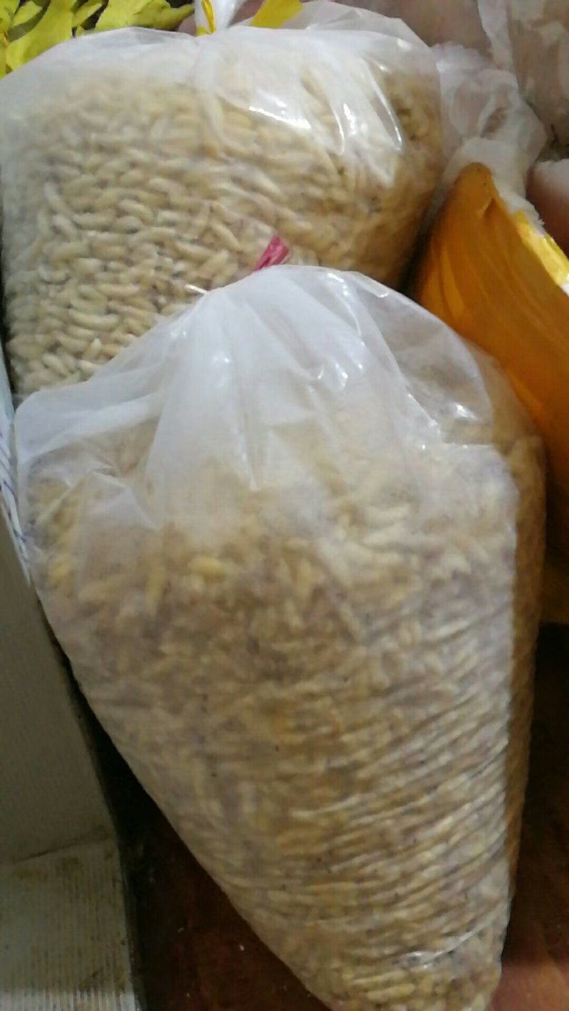 野生蜂蛹，野生蜂蜜，每天数量有限，先下手为强