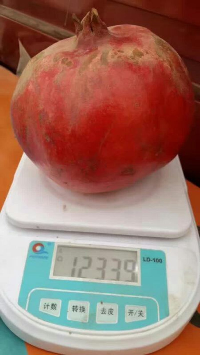寓东果业联盟正宗新疆和田皮亚曼红石榴十月乡见