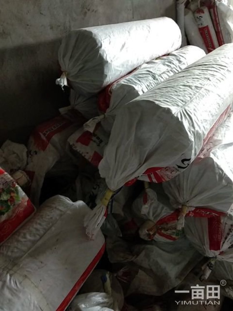 【大棚膜】精黑白膜2-20米(12-14丝)厂家直发