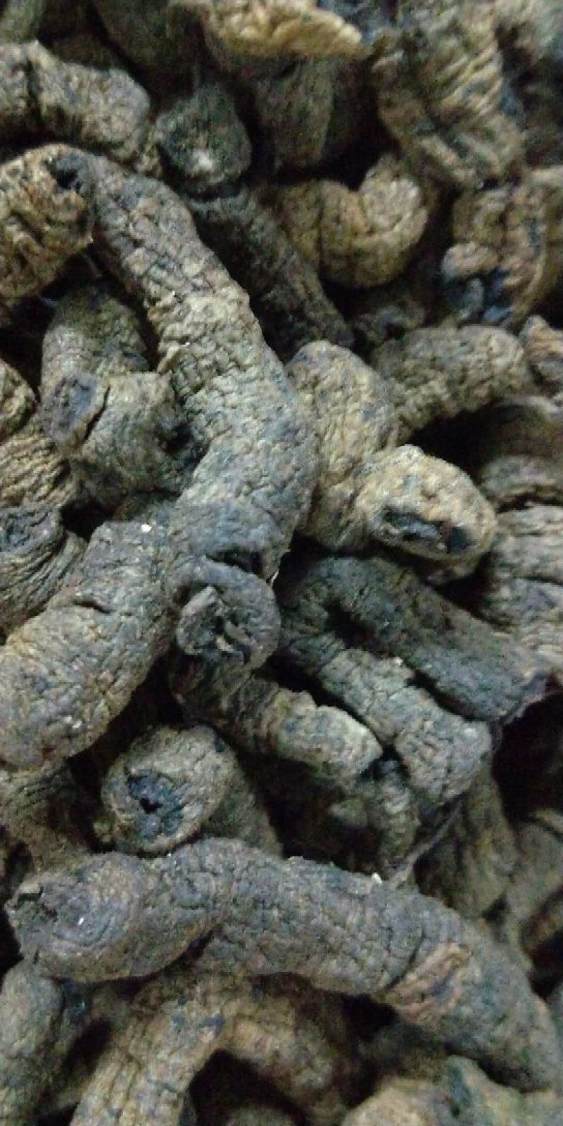 巴戟天通货选货质量可以