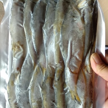 鱼干
