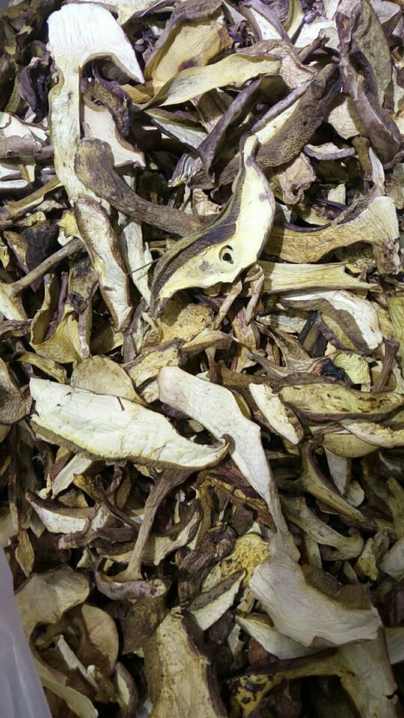 各种野生菌干片