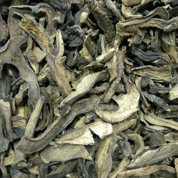 各种野生菌干片