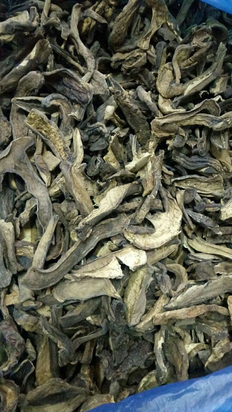 各种野生菌干片
