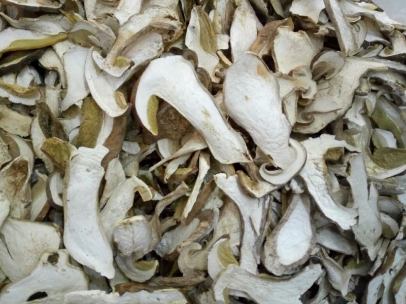 各种野生菌干片