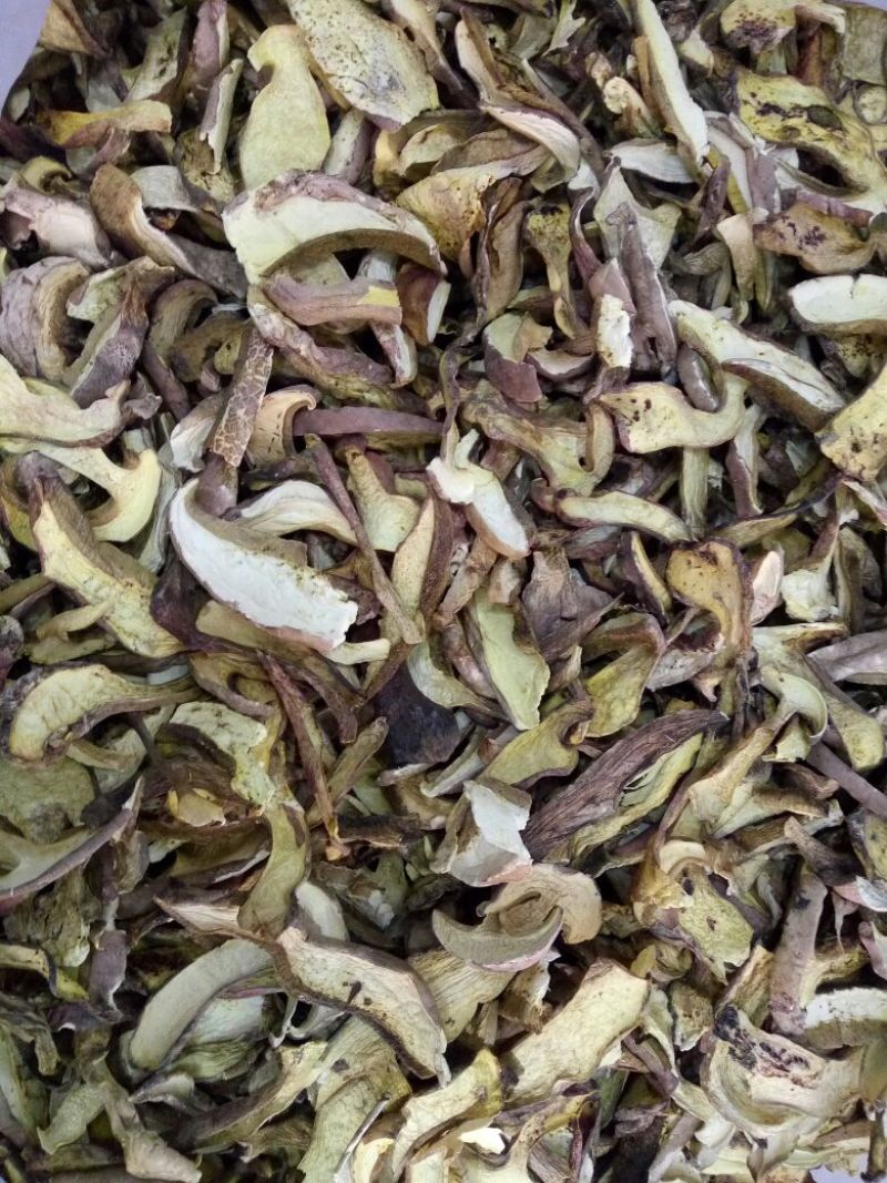 各种野生菌干片
