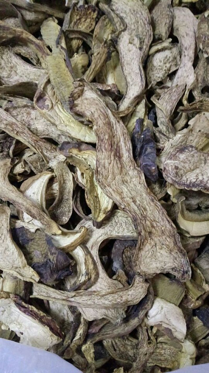 各种野生菌干片