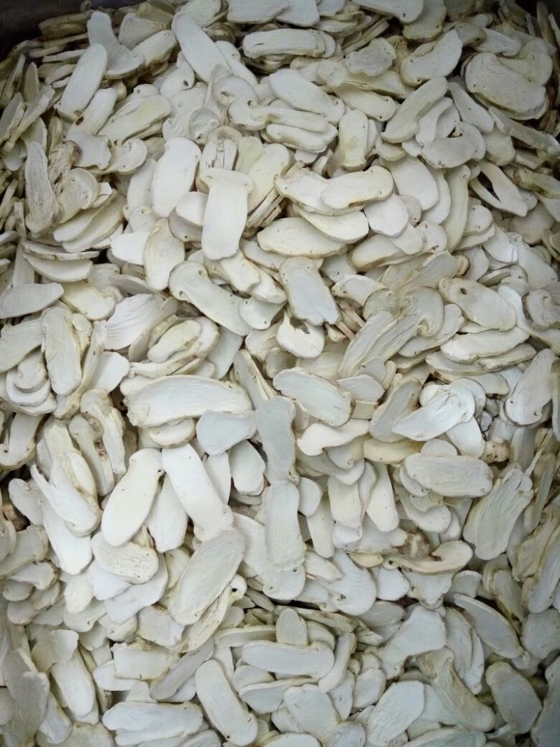 各种野生菌干片