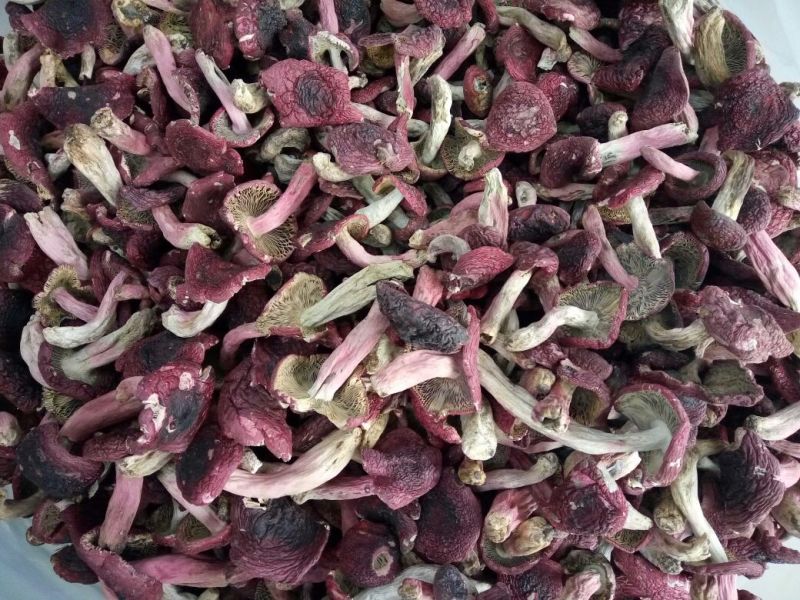 各种野生菌干片