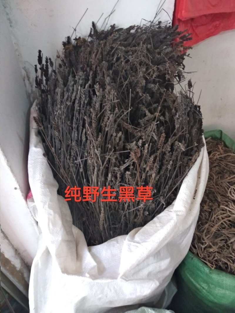 鬼羽箭