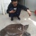 野生甲鱼