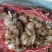 大蒜脱水蒜瓣厂料