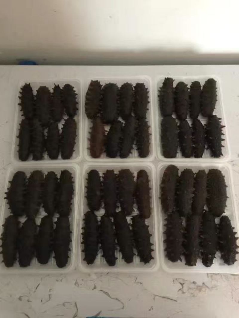 海参