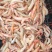 大虾对虾活鲜海鲜水产活虾基围虾鲜虾尖头虾九节虾