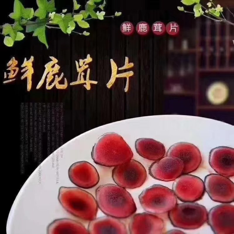 【推荐】精品梅花鲜鹿茸整支鲜切一手货源欢迎采购加