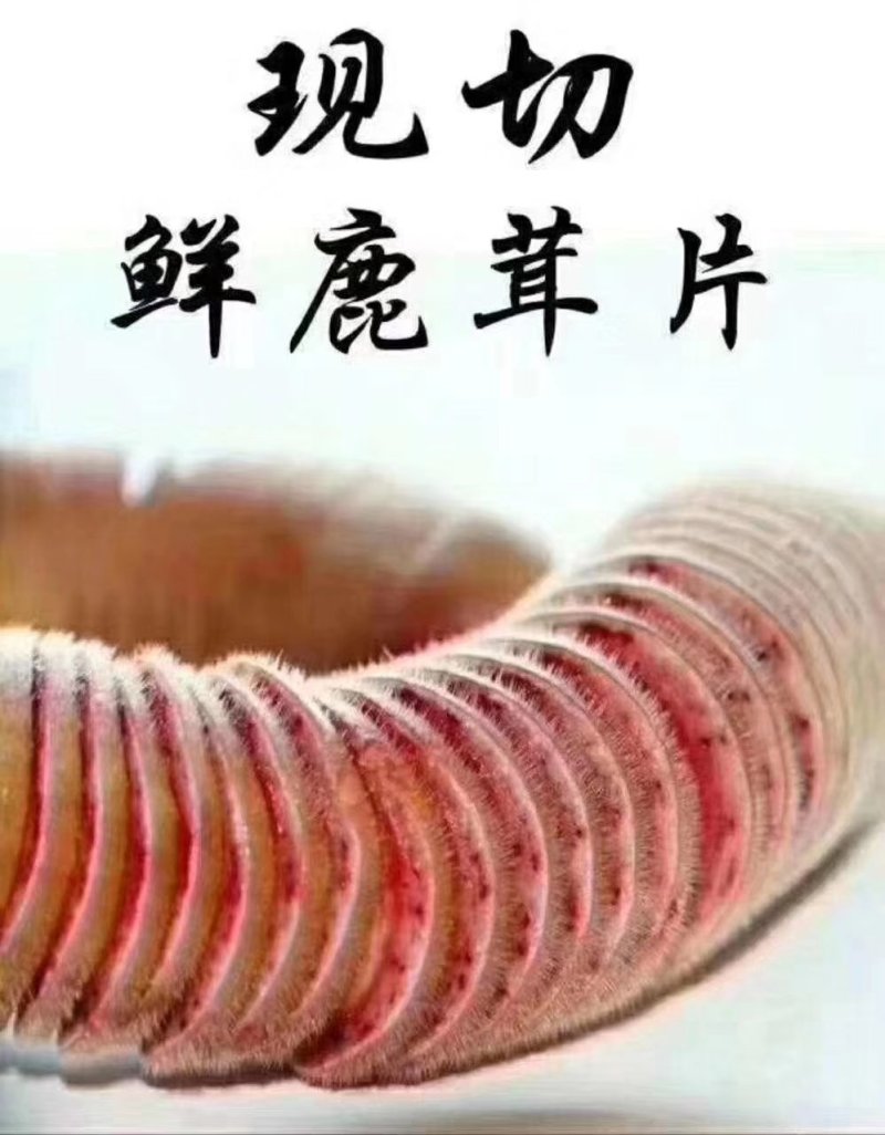 【推荐】精品梅花鲜鹿茸整支鲜切一手货源欢迎采购加