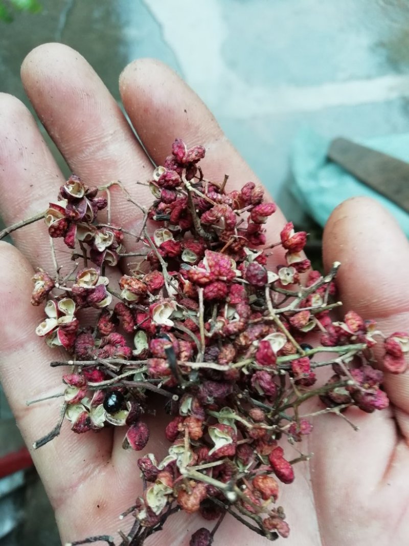 色好麻味重