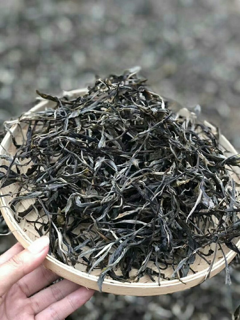 云南普洱茶海拔高1400以上米是中缅边境生态茶