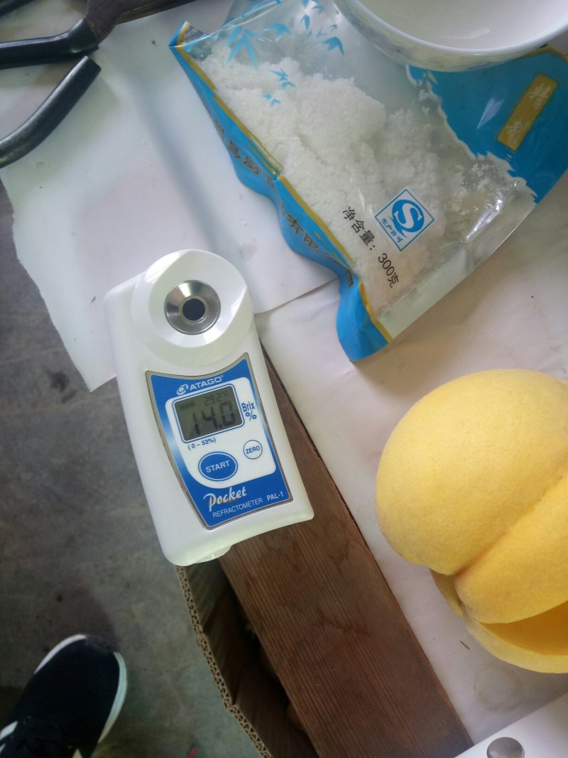 黄金黄桃金黄金黄桃，6-10月份供应，各种桃苗苹果苗。离
