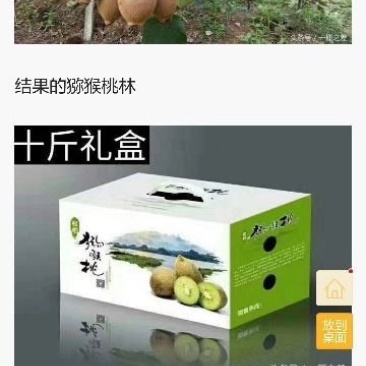 松柏镇猕猴桃