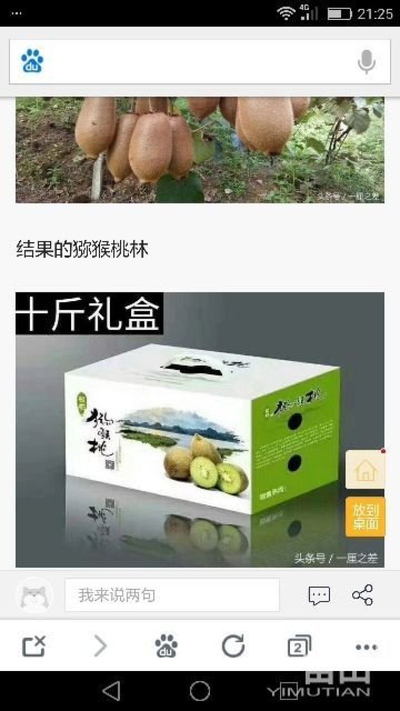 松柏镇猕猴桃