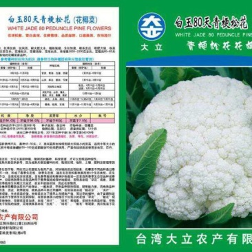 青梗松菜花种子，代理国内外品种有机松花苗