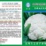 青梗松菜花种子，代理国内外品种有机松花苗