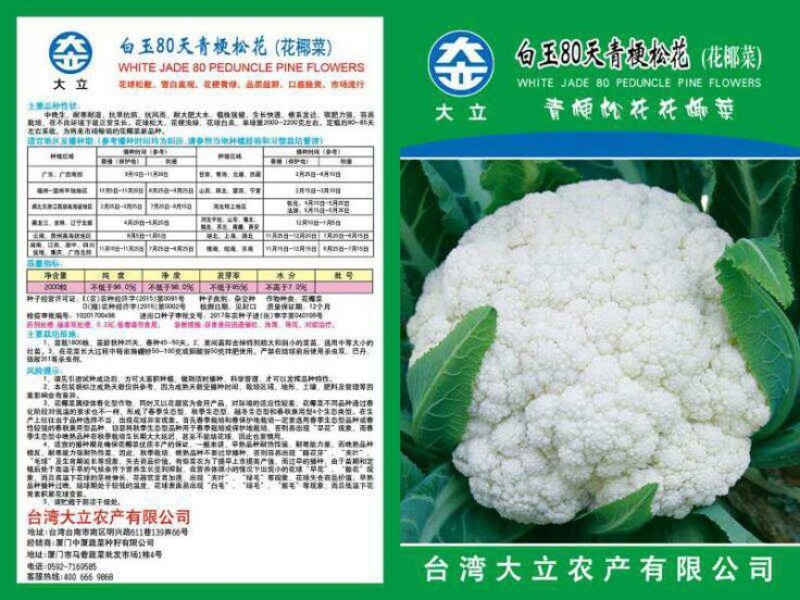 青梗松菜花种子，代理国内外品种有机松花苗