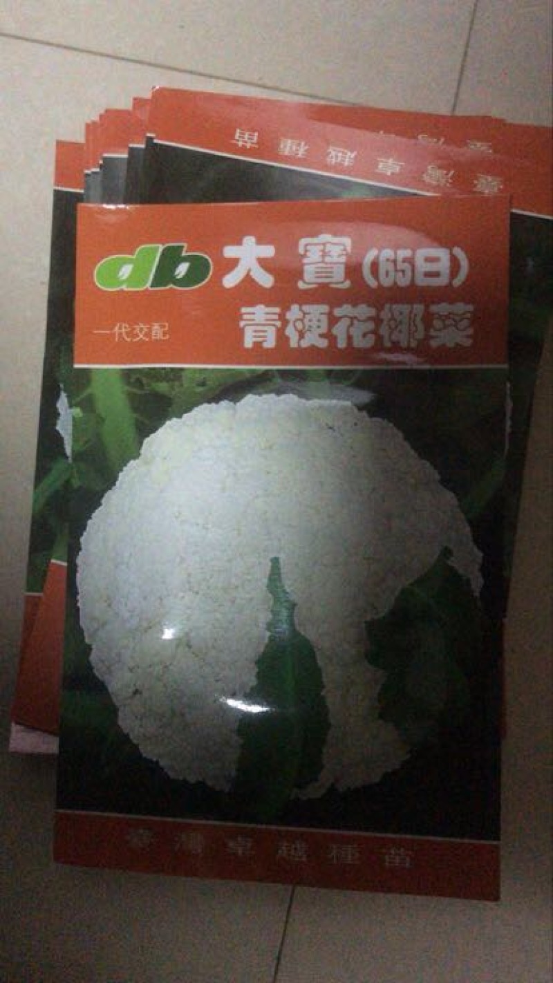 青梗松菜花种子，代理国内外品种有机松花苗