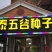 青梗松菜花种子，代理国内外品种有机松花苗