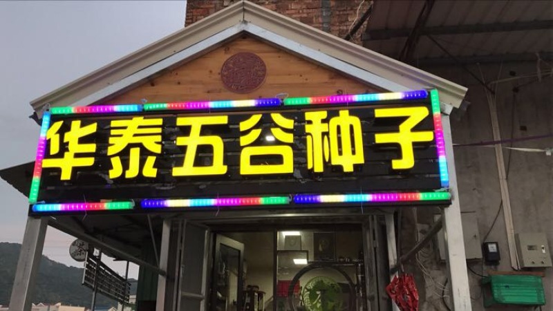 青梗松菜花种子，代理国内外品种有机松花苗