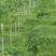 水泥立柱