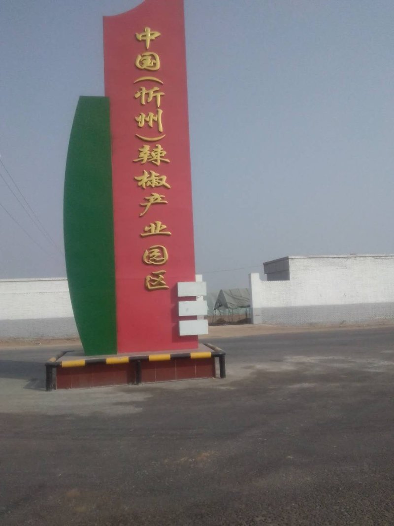 l3红辣椒适合加工打酱剁椒