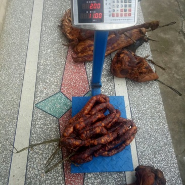 农家无饲料喂养老品种土猪肉，味道就是不一样