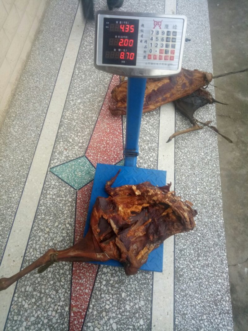 农家无饲料喂养老品种土猪肉，味道就是不一样