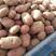 青薯9号土豆种子量大从优诚信合作欢迎采购