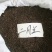 二月兰种子开花早芽率高6斤/亩