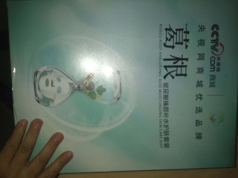 葛根种苗