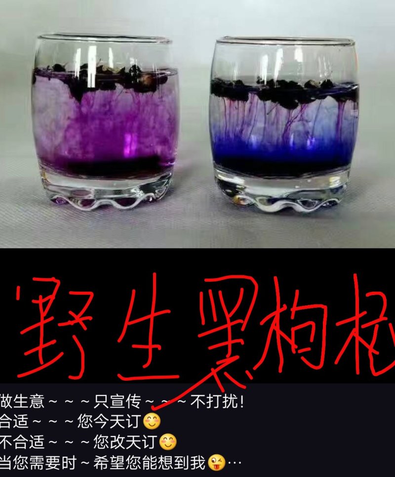 黑枸杞