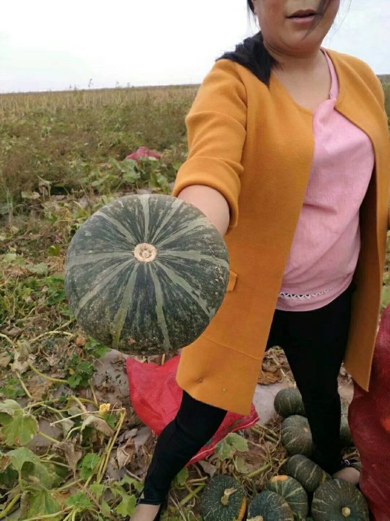 贝贝南瓜板栗南瓜10斤包邮