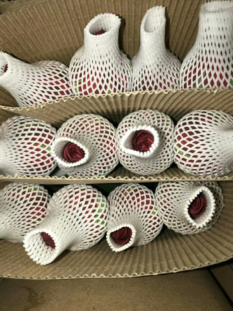 红玫瑰