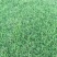 精品草坪