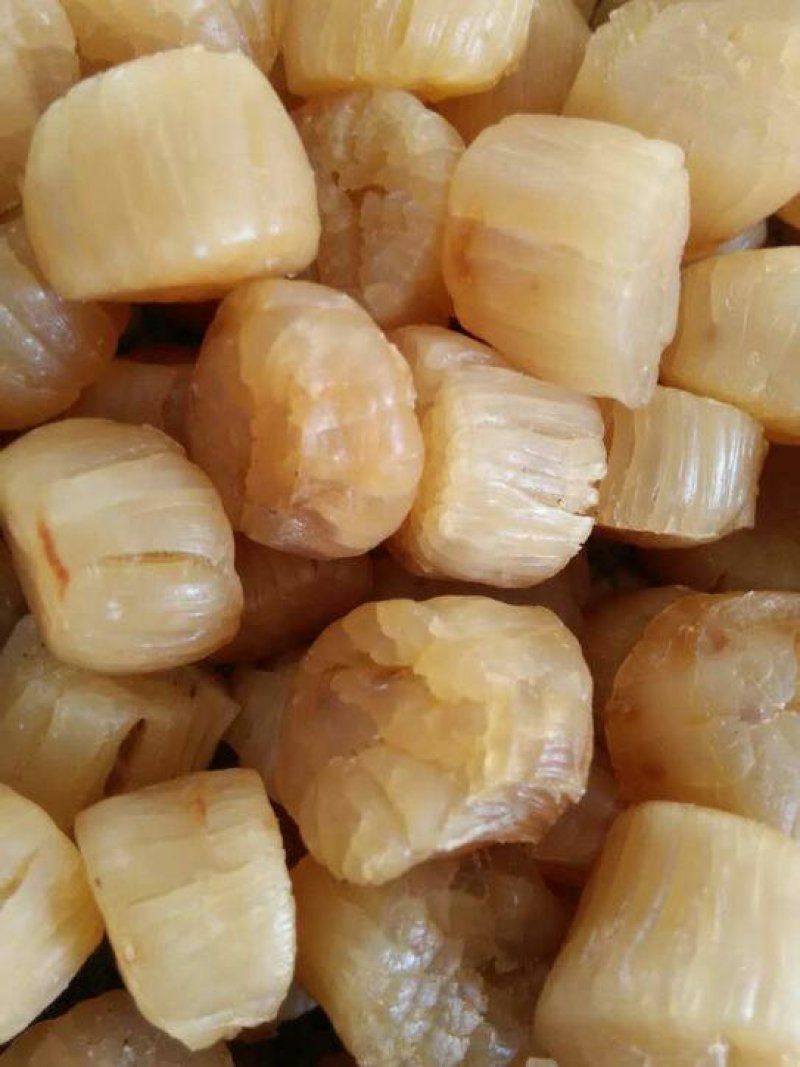 水产干货，元贝，大连元贝，大连干贝，干瑶柱