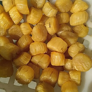 水产干货，元贝，大连元贝，大连干贝，干瑶柱