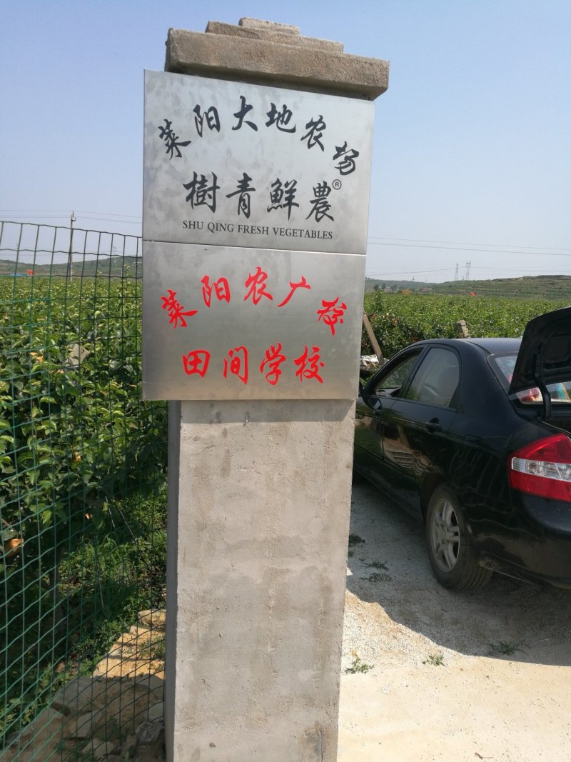 秋月梨
