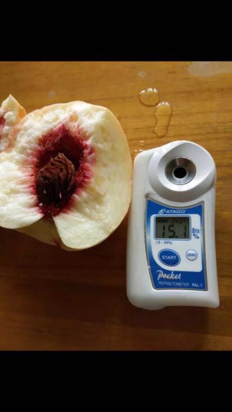 秋彤桃70mm以上